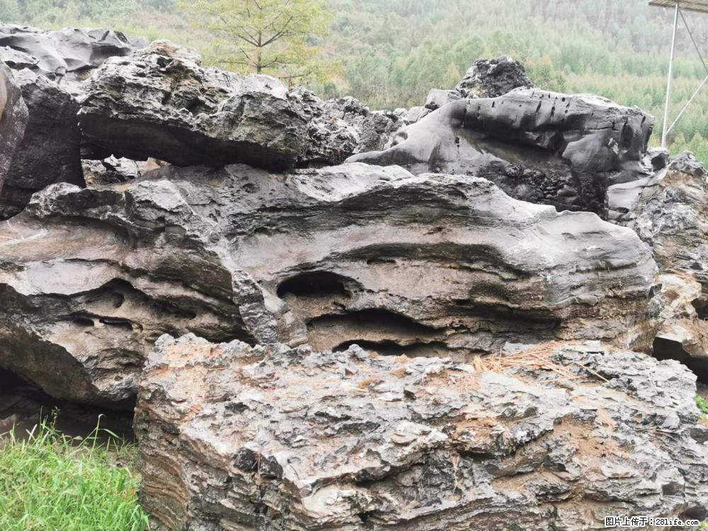 风景石、假山石大量有货，有需要的欢迎联系 - 新手上路 - 湘潭生活社区 - 湘潭28生活网 xiangtan.28life.net
