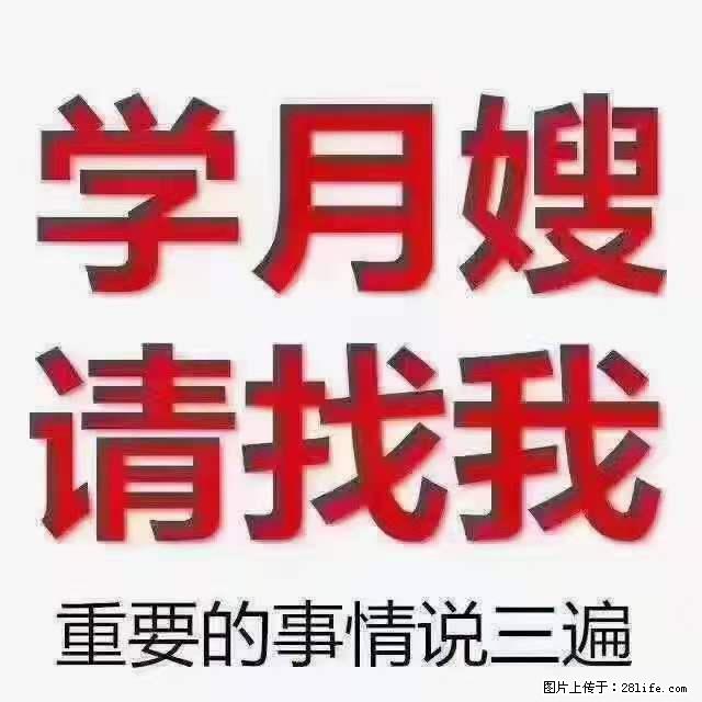 为什么要学习月嫂，育婴师？ - 其他广告 - 广告专区 - 湘潭分类信息 - 湘潭28生活网 xiangtan.28life.net
