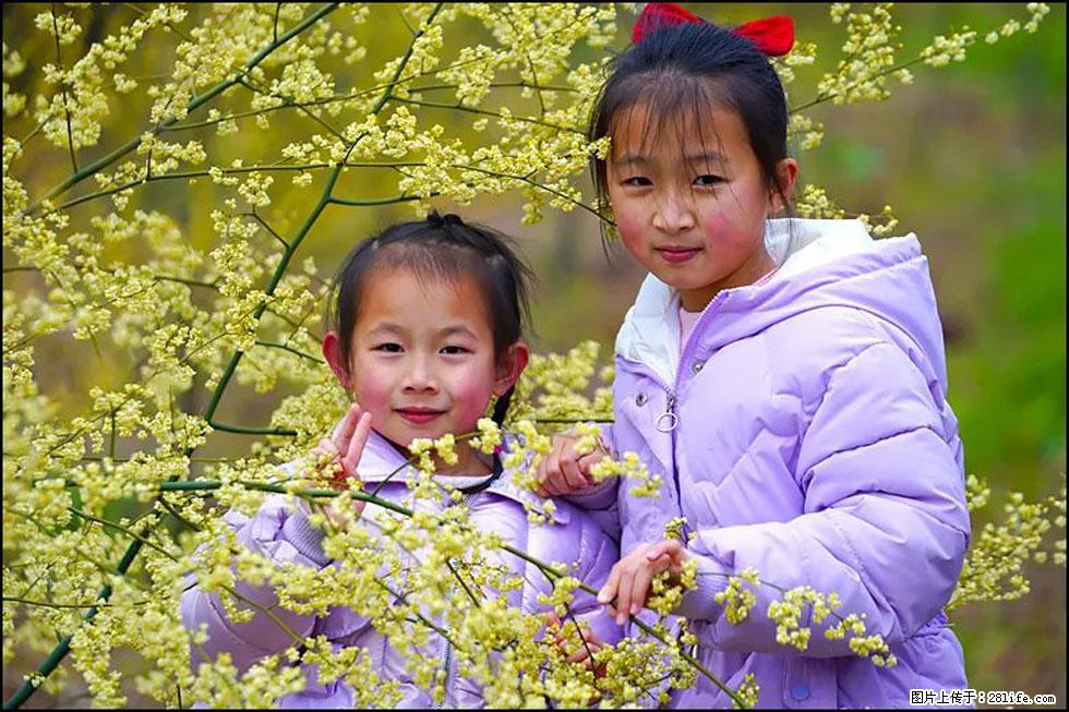 【春天，广西桂林灌阳县向您发出邀请！】米珠山前有片山苍子花在飘香 - 游山玩水 - 湘潭生活社区 - 湘潭28生活网 xiangtan.28life.net