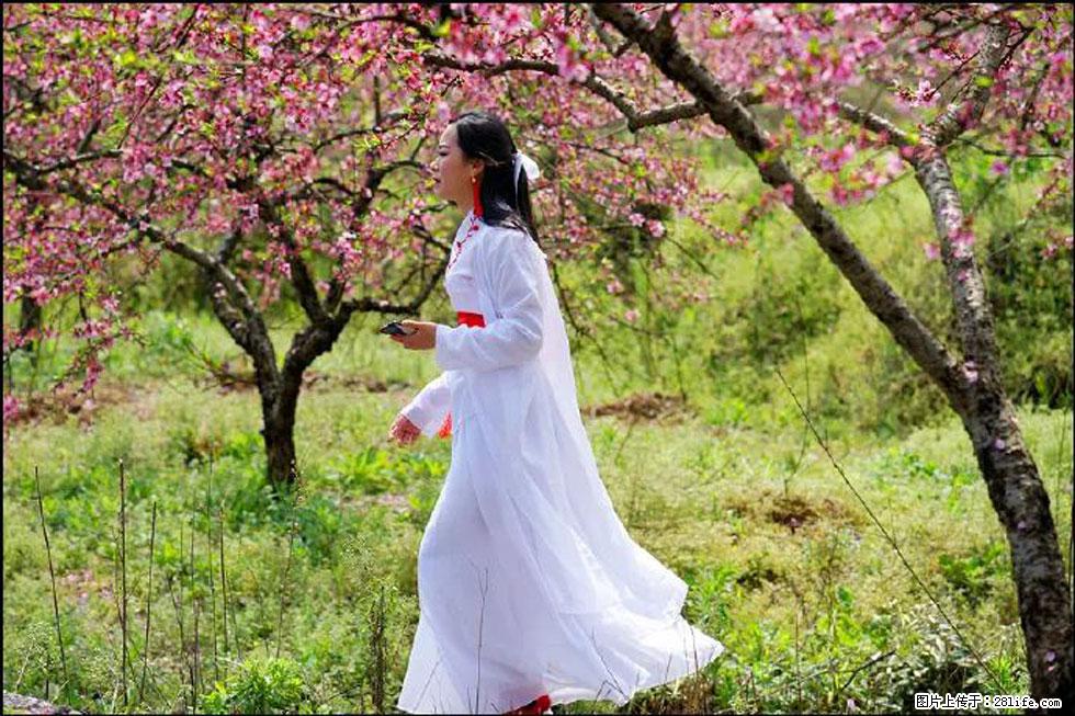 【春天，广西桂林灌阳县向您发出邀请！】官庄村有个醉美的桃花园 - 游山玩水 - 湘潭生活社区 - 湘潭28生活网 xiangtan.28life.net