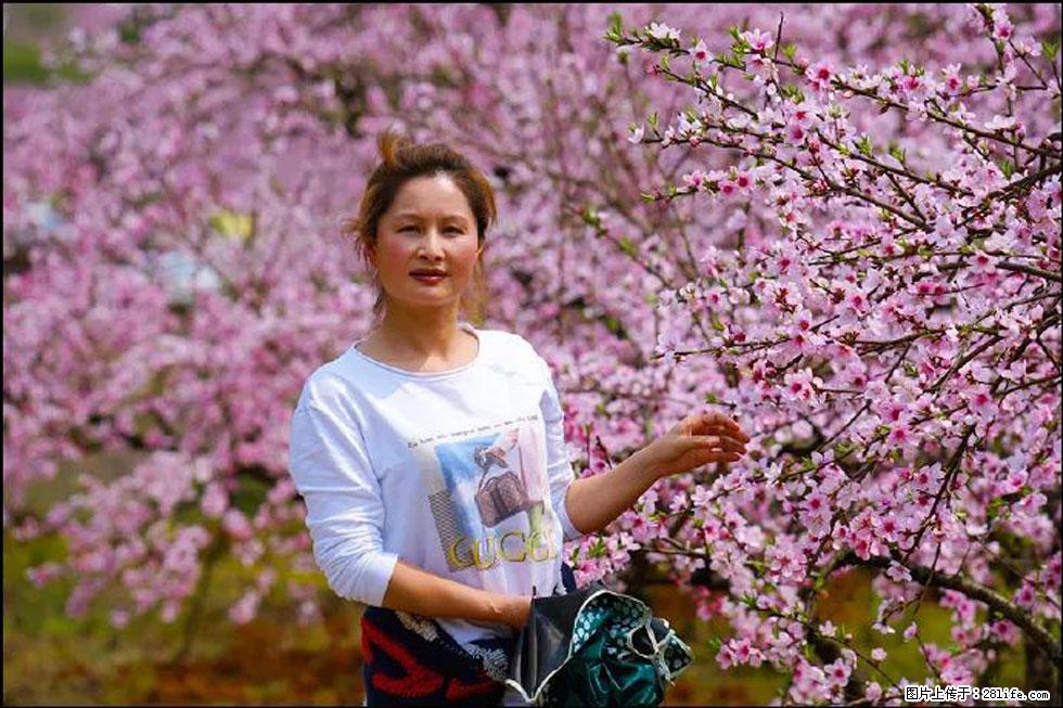 【春天，广西桂林灌阳县向您发出邀请！】官庄村有个醉美的桃花园 - 游山玩水 - 湘潭生活社区 - 湘潭28生活网 xiangtan.28life.net