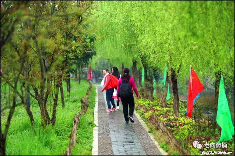 【春天，广西桂林灌阳县向您发出邀请！】江口老街又逢春 - 游山玩水 - 湘潭生活社区 - 湘潭28生活网 xiangtan.28life.net
