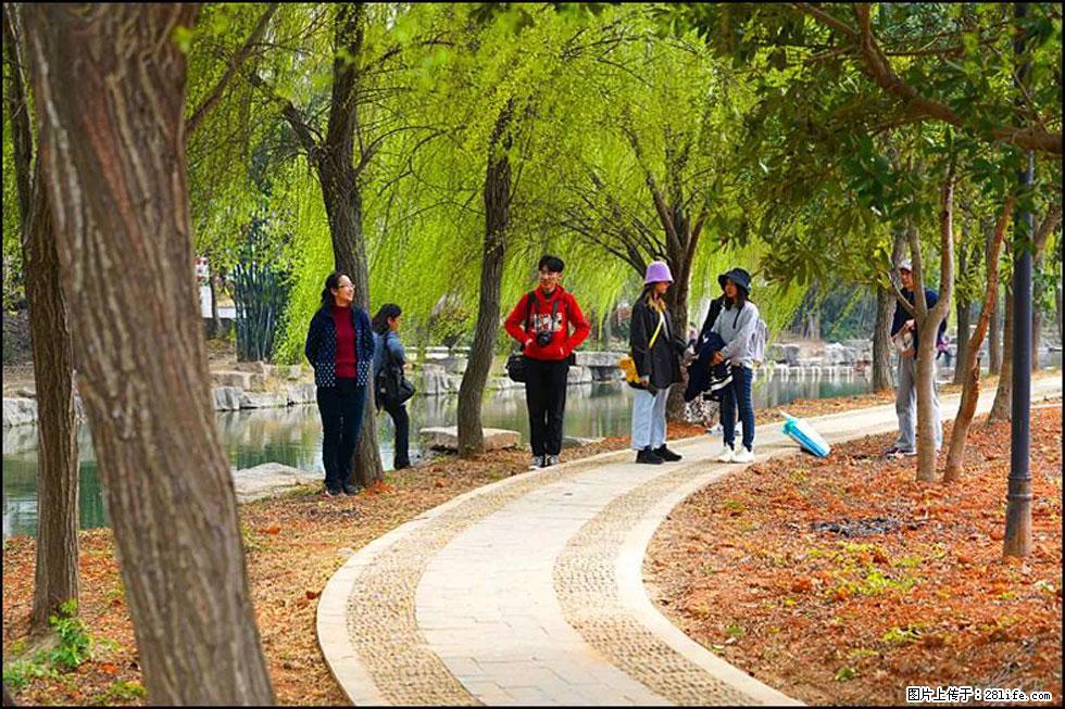【春天，广西桂林灌阳县向您发出邀请！】江口老街又逢春 - 游山玩水 - 湘潭生活社区 - 湘潭28生活网 xiangtan.28life.net