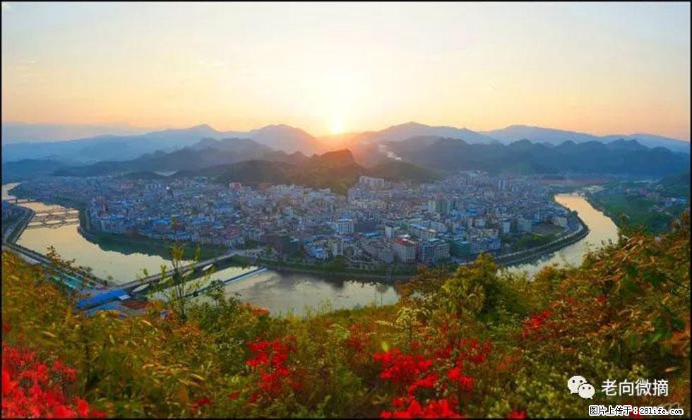 【春天，广西桂林灌阳县向您发出邀请！】登麒麟山，相约映山红 - 游山玩水 - 湘潭生活社区 - 湘潭28生活网 xiangtan.28life.net