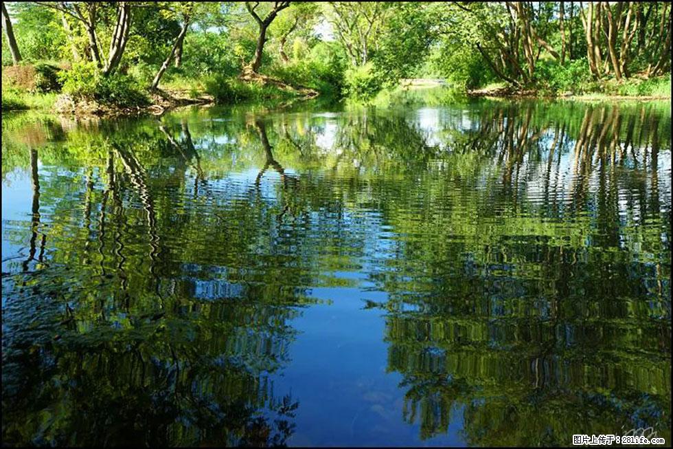 【春天，广西桂林灌阳县向您发出邀请！】熊家寨湿地公园 - 游山玩水 - 湘潭生活社区 - 湘潭28生活网 xiangtan.28life.net