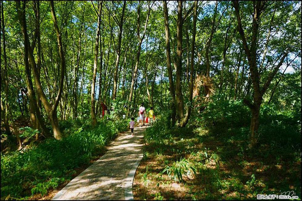 【春天，广西桂林灌阳县向您发出邀请！】熊家寨湿地公园 - 游山玩水 - 湘潭生活社区 - 湘潭28生活网 xiangtan.28life.net