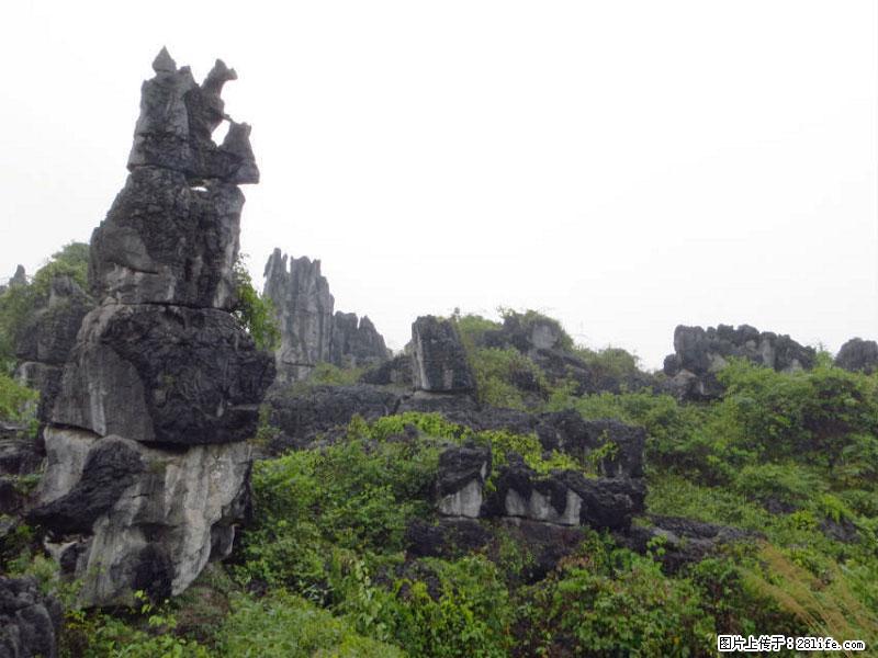 桂林旅游名城景点：灌阳文市石林 - 游山玩水 - 湘潭生活社区 - 湘潭28生活网 xiangtan.28life.net