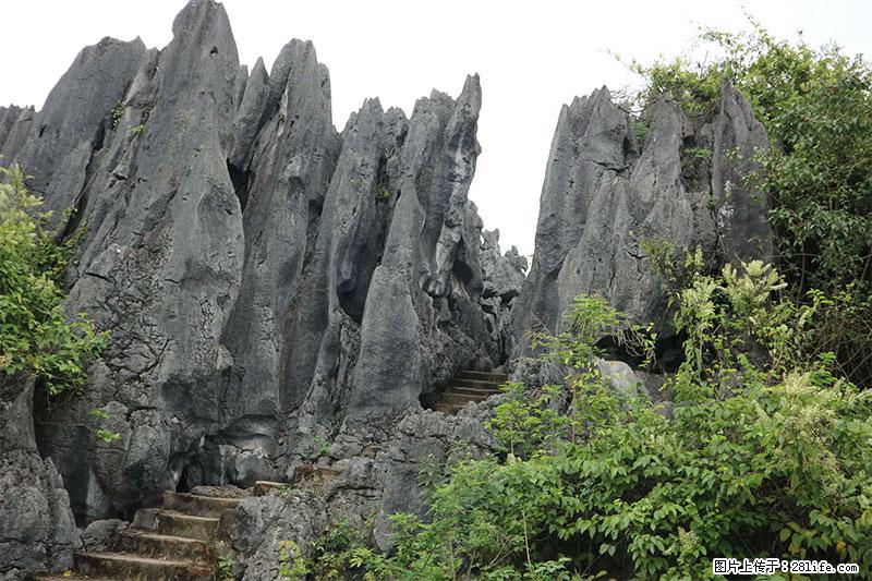 桂林旅游名城景点：灌阳文市石林 - 游山玩水 - 湘潭生活社区 - 湘潭28生活网 xiangtan.28life.net