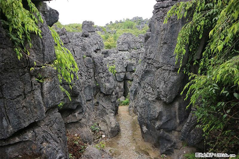 桂林旅游名城景点：灌阳文市石林 - 游山玩水 - 湘潭生活社区 - 湘潭28生活网 xiangtan.28life.net