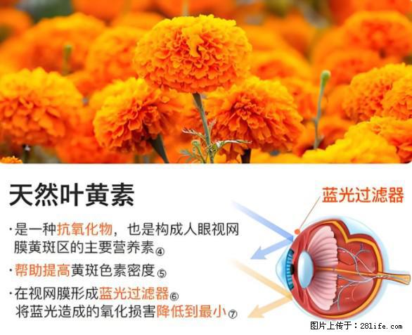 叶黄素有什么功效和作用 - 生活百科 - 湘潭生活社区 - 湘潭28生活网 xiangtan.28life.net