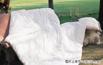被子有异味？只要这样做，比晒太阳还强100倍！ - 家居生活 - 湘潭生活社区 - 湘潭28生活网 xiangtan.28life.net