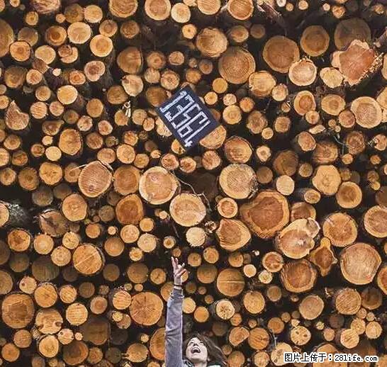 辞掉工作周游世界？现在他们在洗厕所…… - 游山玩水 - 湘潭生活社区 - 湘潭28生活网 xiangtan.28life.net