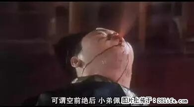 笑癫了！一女的怀孕三年未生，他终于忍不住了... - 娱乐八卦 - 湘潭生活社区 - 湘潭28生活网 xiangtan.28life.net