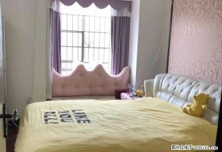 市政府 金侨中央广场 精装大两房 温馨舒适 可拎包入住！！ - 湘潭28生活网 xiangtan.28life.net