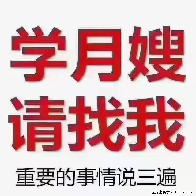 【招聘】月嫂，上海徐汇区 - 职场交流 - 湘潭生活社区 - 湘潭28生活网 xiangtan.28life.net