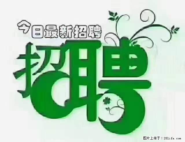 上海隔离酒店招人：55岁以下 男女不限 - 职场交流 - 湘潭生活社区 - 湘潭28生活网 xiangtan.28life.net