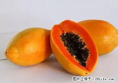 晕车、脚气、牙齿变黄、皮肤粗糙？学会这些三分钟搞定！ - 湘潭生活资讯 - 湘潭28生活网 xiangtan.28life.net