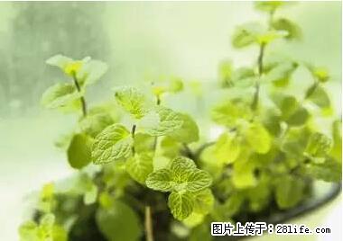 晕车、脚气、牙齿变黄、皮肤粗糙？学会这些三分钟搞定！ - 湘潭生活资讯 - 湘潭28生活网 xiangtan.28life.net