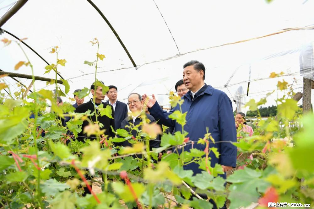 习近平赴广西考察调研 - 湘潭生活资讯 - 湘潭28生活网 xiangtan.28life.net