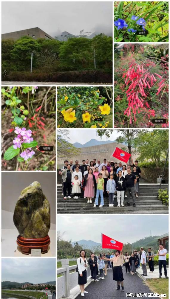 “粤灌文化 美好生活”油茶文化主题活动在广东深圳成功举办 - 湘潭生活资讯 - 湘潭28生活网 xiangtan.28life.net