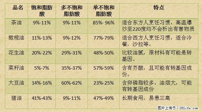 揭秘茶油的5大核心营养成分！被称为人体健康的“守护盾”！ - 湘潭生活资讯 - 湘潭28生活网 xiangtan.28life.net