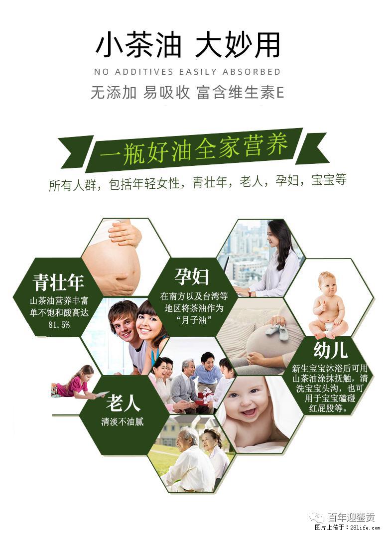 世界没有真相，只有认知，最好的食用油是中国的山茶油！ - 湘潭生活资讯 - 湘潭28生活网 xiangtan.28life.net