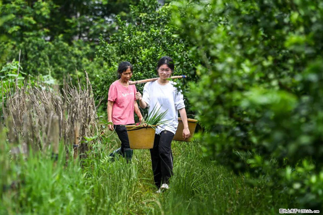全网追的“扁担女孩”，找了一份暑假工，时薪12元 - 湘潭生活资讯 - 湘潭28生活网 xiangtan.28life.net