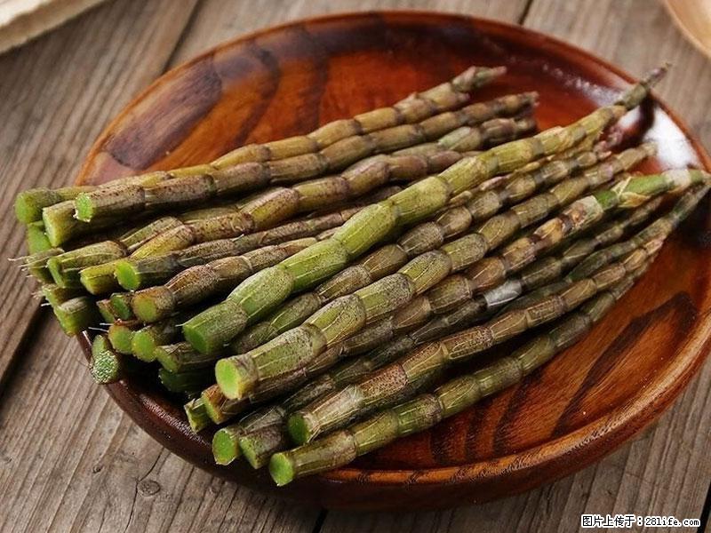 铁皮石斛的作用与功能主治 - 湘潭生活资讯 - 湘潭28生活网 xiangtan.28life.net
